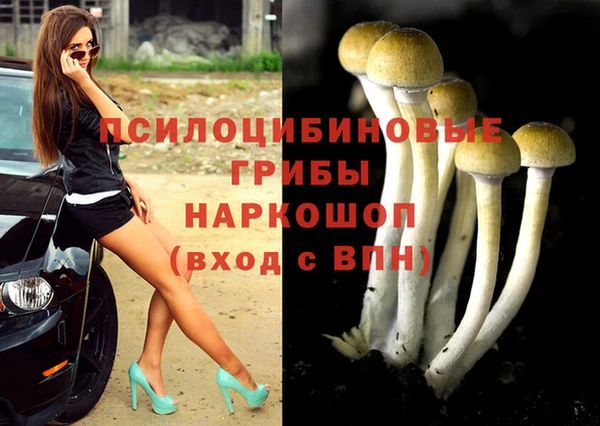 каннабис Вяземский