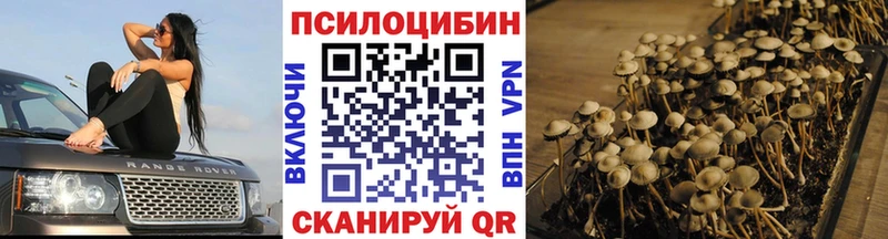 Псилоцибиновые грибы Psilocybine cubensis  Купить закладки  Можайск 